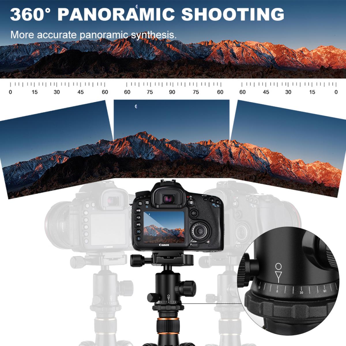 1.6m Travel Tripod TM2324 BLACK GOLD - K&F Concept TM2324Gold