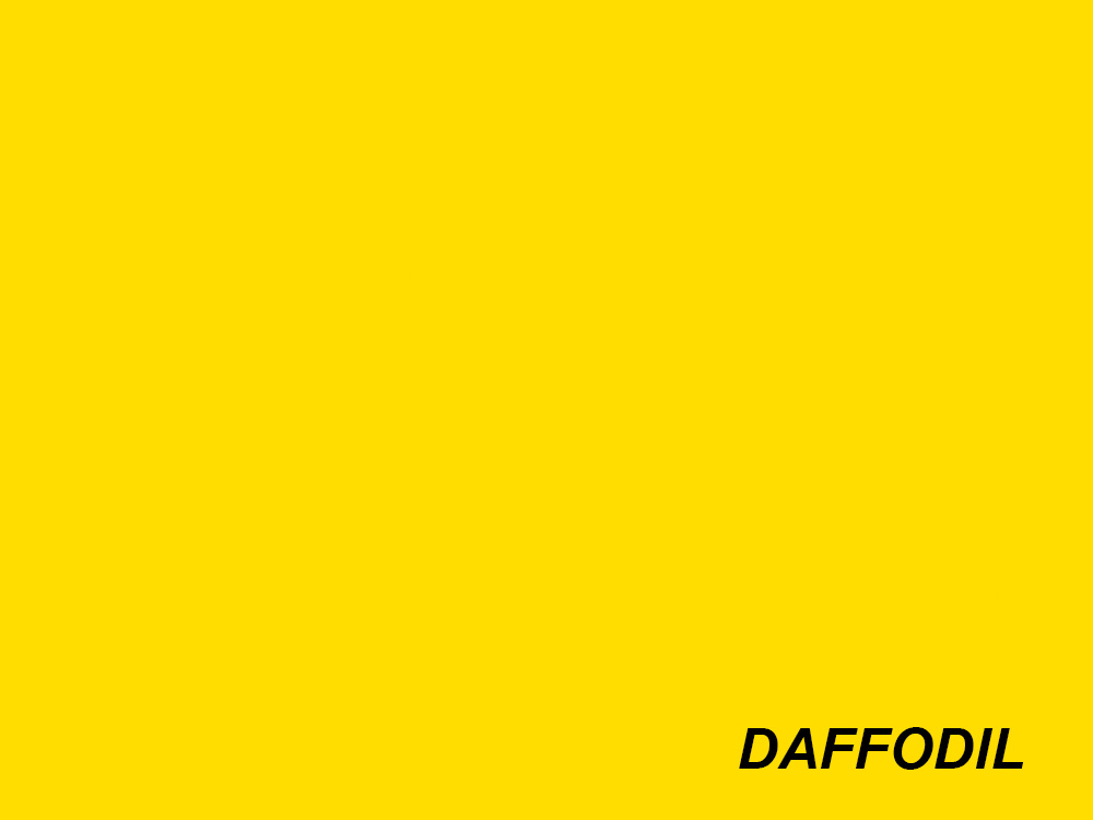BD Paper Background Roll - 107 Daffodil