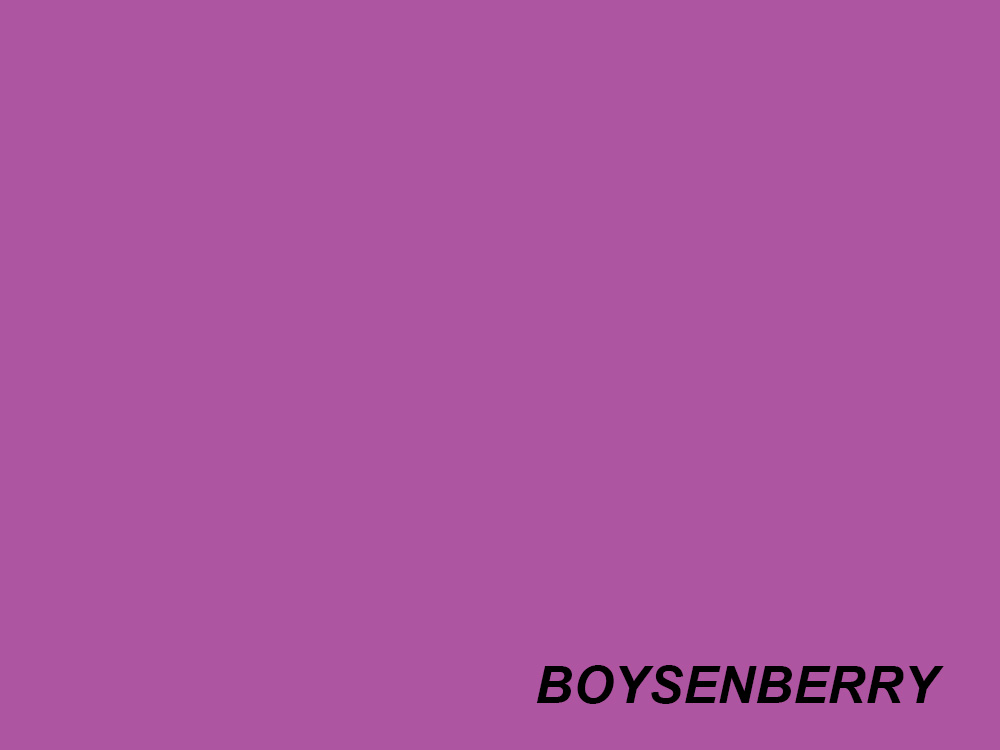 BD Paper Background Half Roll - 191 Boysenberry
