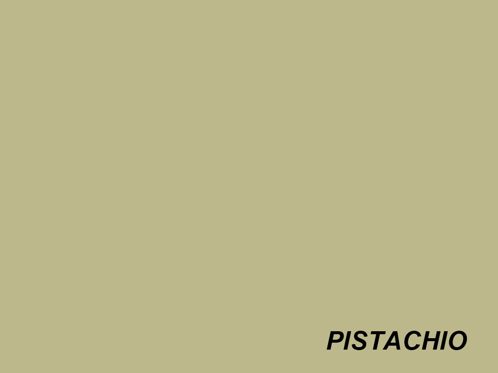 BD Paper Background Roll - 223 Pistachio