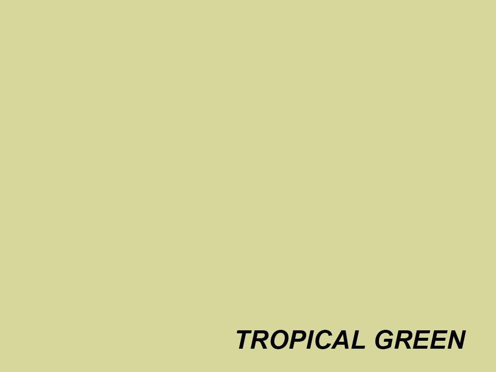 Paper Background Half Roll - Tropical Green
