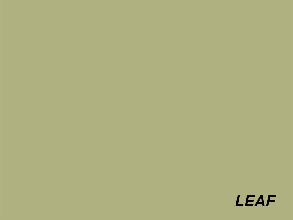 Paper Background Roll - Leaf Green