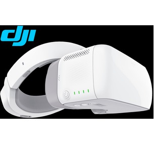 DJI Goggles