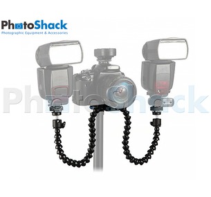Octopus Arm Double Flash Mount